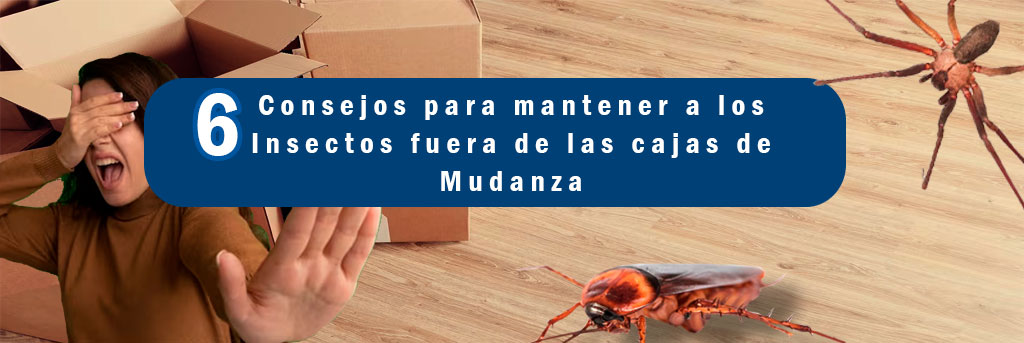 6 consejos para mantener a los insectos fuera de las cajas de mudanza